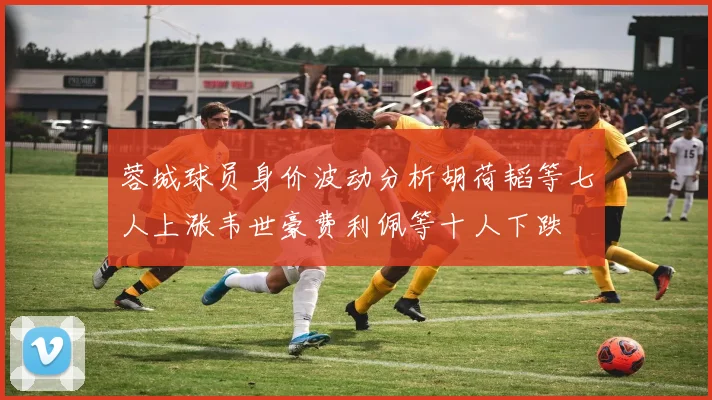 蓉城球员身价波动分析胡荷韬等七人上涨韦世豪费利佩等十人下跌