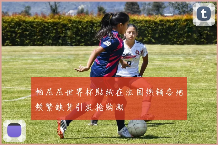 帕尼尼世界杯贴纸在法国热销各地频繁缺货引发抢购潮